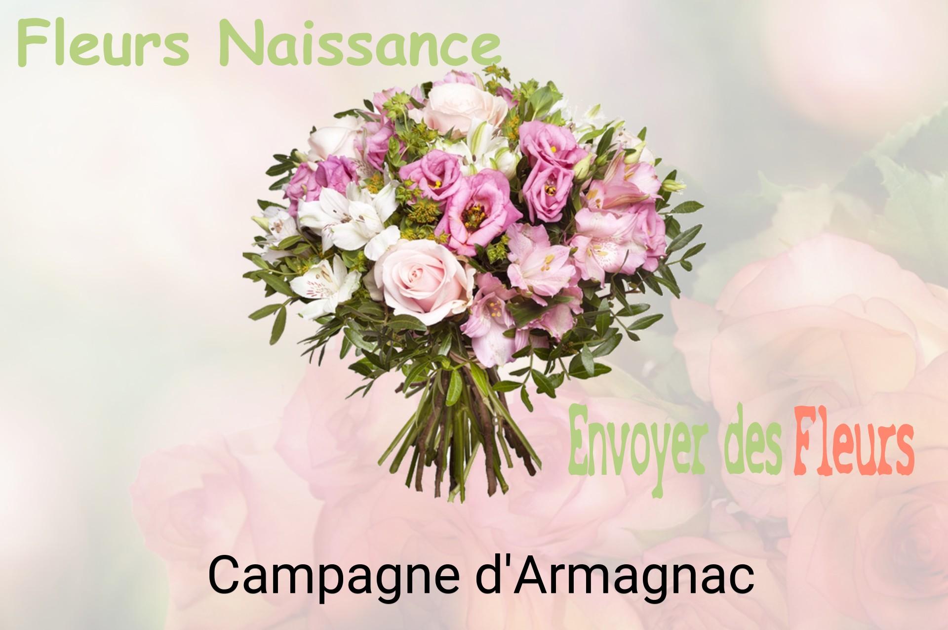 Bouquet de fleurs de naissance livré à Campagne-d'Armagnac